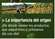 La importancia del origen