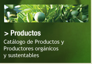 Productos