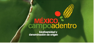 Mexico Campo Adentro